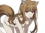  1girl all_fours animal_ear_fluff animal_ears blunt_bangs blurry breast_press breasts bright_pupils brown_hair cleavage collarbone colored_eyelashes commentary_request completely_nude depth_of_field feet_out_of_frame grin hair_over_shoulder hair_spread_out holo isse long_hair looking_at_viewer medium_breasts nude red_eyes sidelocks simple_background smile solo spice_and_wolf straight_hair tail thighs tsurime v-shaped_eyebrows white_background wolf_ears wolf_girl wolf_tail 