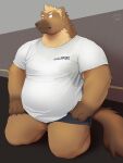  2022 absurd_res anthro belly big_belly black_nose brown_body clothing gulonine hi_res humanoid_hands kemono male mammal marten mustelid musteline nookdae overweight overweight_male shirt solo topwear 