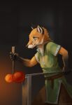  2022 anthro canid canine clothed clothing digital_media_(artwork) fox fully_clothed fur gloves_(marking) green_clothing hi_res holding_object ipoke light lighting mammal markings orange_body orange_fur shaded solo white_body white_fur 
