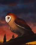 absurd_res avian barn_owl bird brown_body brown_feathers feathers feral guardians_of_ga&#039;hoole hi_res kludd male owl plant senecar0cks solo sunset tree tyto tytonid white_body white_feathers