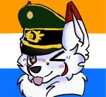 anthro callsign_overlord canid canine canis cheek_tuft clothing ears_up facial_tuft forestprotectionservice fox hat headgear headwear kemono male mammal nash neck_tuft officer one_eye_closed sfw_edit sfwfurryart smile solo teutonniaroblox tongue tongue_out tuft wolf