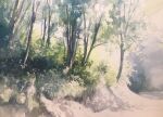  bush day forest grass highres nature no_humans original painting_(medium) plant realistic scenery shadow sunlight toyonaga_ryouhei traditional_media tree watercolor_(medium) 