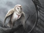 avian barn_owl bird blue_eyes feathers feet female feral guardians_of_ga&#039;hoole hi_res markings nyra_(gogh) owl scar senecar0cks solo talons toes tyto tytonid white_body white_feathers