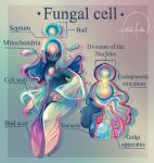 biped cell_(organism) cell_humanoid cell_nucleus endoplasmic_reticulum english_text feefal female golgi_apparatus hi_res humanoid mitochondria not_furry organelle pseudo_hair solo text