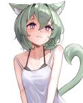  1girl animal_ear_fluff animal_ears black_bra bra breasts camisole cat_ears cat_girl cat_tail fosqie green_hair highres light_smile looking_at_viewer original purple_eyes short_hair simple_background small_breasts tail underwear white_background white_camisole 