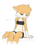 4_fingers anthro athletic athletic_female blush bottomwear bra breasts clothing domestic_cat embarrassed facial_tuft felid feline felis female fingers fluffy fluffy_tail green_eyes hi_res mammal navel prick_ears rolo_(rolo_stuff) rolo_stuff shorts sitting small_breasts solo tail tuft underwear
