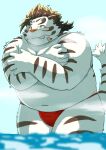 2024 9dtq0 absurd_res anthro asian_clothing band-aid bandage belly big_belly blush clothing east_asian_clothing felid fundoshi hi_res japanese_clothing kemono licho_(tas) lifewonders male mammal navel overweight overweight_male pantherine red_clothing red_fundoshi red_underwear solo tiger tokyo_afterschool_summoners underwear water white_body