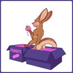  box butt chewing container eating foxinuhhbox hi_res kangaroo macropod mammal marsupial peanuts_(comic) quippy sticker 