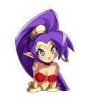  2020 blue_eyes blush breasts clothing ear_piercing ear_ring female genie hair hi_res humanoid humanoid_pointy_ears long_hair nin10ja not_furry piercing purple_hair shantae shantae_(series) simple_background solo video_games wayforward white_background 