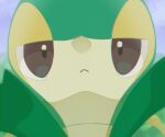  :&lt; absurdres animal_focus blurry blurry_foreground brown_eyes chromatic_aberration close-up closed_mouth commentary_request half-closed_eyes highres looking_at_viewer moka_(moka0919) no_humans pokemon pokemon_(creature) portrait reaching reaching_towards_viewer snivy solo straight-on 
