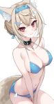 1girl animal_ear_fluff animal_ears bandaid bandaid_hair_ornament belt_collar bikini black_collar blonde_hair blue_bikini blue_hair blush breasts cleavage collar dog_ears dog_girl dog_tail fuwawa_abyssgard hair_ornament hairpin highres hololive hololive_english large_breasts looking_at_viewer pink_eyes rifufu short_hair smile solo swimsuit tail virtual_youtuber white_background 