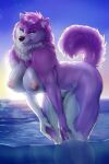  absurd_res akita amazonian anthro breasts canid canine canis domestic_dog female fur hi_res lira_the_akita mammal muscular muscular_female nude pink_body pink_fur pose presenting presenting_breasts solo spitz sunset thick_thighs water 