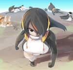  5girls animal_ears black_footwear black_hair black_jacket boots breasts brown_eyes brown_hair brown_shirt clenched_hands closed_mouth commentary_request dark_skin dhole_(kemono_friends) dog_ears dog_girl dog_tail emperor_penguin_(kemono_friends) frown full_body hair_between_eyes hair_over_one_eye headphones jacket kemono_friends large_breasts lets0020 long_bangs looking_at_viewer multicolored_hair multiple_girls multiple_persona numbered one-piece_swimsuit open_clothes open_jacket orange_hair shirt short_hair slit_pupils solo_focus streaked_hair swimsuit tail v-shaped_eyebrows walking white_one-piece_swimsuit 