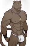  abs anthro asian_clothing biceps brown_body brown_fur bulge clothed clothing coal_(maririn) cuffs_(clothing) digital_media_(artwork) east_asian_clothing felid feline fundoshi fur hi_res japanese_clothing jewelry looking_at_viewer male mammal maririn mostly_nude muscular muscular_anthro muscular_male necklace nipples pantherine pecs simple_background smile solo underwear whiskers 
