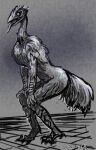  2020 anthro avian bird dragonsica dungeons_and_dragons dwarf_fortress emu feathers feet hands_on_knees hands_on_legs hasbro male monochrome ratite simple_background solo standing tail tail_feathers talons toes tongue tongue_out wizards_of_the_coast 
