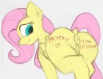  anus body_writing butt equine female feral fluttershy_(mlp) friendship_is_magic hi_res looking_back mammal marsminer my_little_pony pegasus pussy simple_background solo white_background wings 