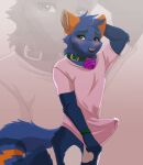  anthro balls blue_body blue_fur blush bodily_fluids canid canine clothed clothing collar erection erection_under_clothing fox fur genital_fluids genitals green_eyes hi_res lawkie looking_at_viewer male mammal precum precum_through_clothing solo wet wet_clothing 