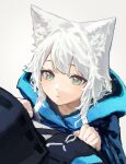  1girl 1other absurdres animal_ear_fluff animal_ears arknights bangs black_coat cat_ears coat doctor_(arknights) eyebrows_visible_through_hair from_above green_eyes hands_on_another&#039;s_chest highres hood hood_down hooded_coat long_hair looking_at_another looking_up parted_lips rosmontis_(arknights) simple_background solo_focus upper_body white_background white_hair yoon_cook 