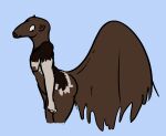  anteater anthro aqua_(fizzpop) biped blue_background fizzpop fur giant_anteater hair hi_res long_snout male mammal multicolored_body multicolored_fur nude pilosan simple_background snout solo standing xenarthran 