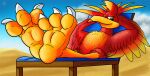  2022 3_toes avian banjo-kazooie beak big_feet bird breegull chair claws digital_media_(artwork) eyelashes feathered_wings feathers feet female feral fol foot_focus furniture green_eyes hands_behind_head hi_res kazooie looking_at_viewer lying on_back one_eye_closed paws rareware red_body red_feathers sand simple_background sky smile smiling_at_viewer soles solo sunbathing toe_claws toes video_games wings yellow_body yellow_feathers 