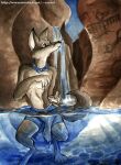  1997 amara_telgemeier anthro bottomwear canid canine canyon clothing fox jewerly loincloth male mammal old shorts solo tribal water 