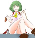  1girl ascot bdsm breasts brown_footwear femdom from_below green_hair highres index_finger_raised kazami_yuuka leash looking_at_viewer medium_breasts medium_hair panties pantyshot red_eyes sadism shiisuu_rattamu solo touhou underwear white_background yellow_ascot 