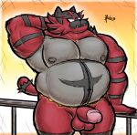  alanottaviano anthro balls barazoku belly fur genitals hair hi_res incineroar male male/male mammal musclegut muscular nintendo overweight overweight_male penis pok&eacute;mon pok&eacute;mon_(species) red_body red_fur red_hair slightly_chubby solo video_games 
